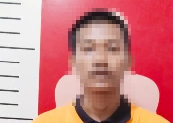 Polsek Dente Teladas Tangkap DPO Curanmor