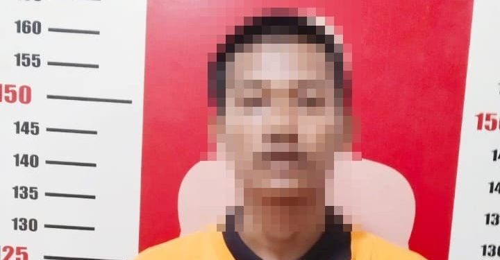 Polsek Dente Teladas Tangkap DPO Curanmor