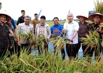 Lampung Siap Jadi Garda Terdepan Ketahanan Pangan Nasional