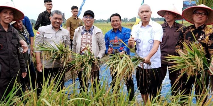 Lampung Siap Jadi Garda Terdepan Ketahanan Pangan Nasional