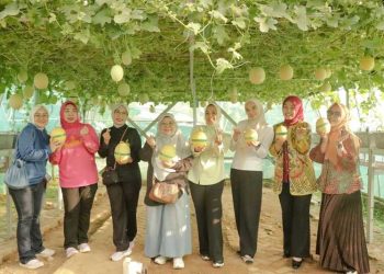 Ketua TP. PKK Provinsi Lampung Pimpin Panen di Agropark, Perkuat Peran PKK dalam Ekonomi Keluarga