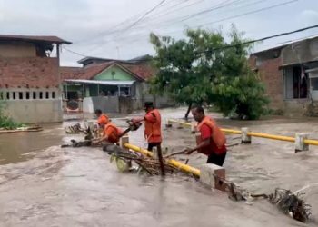 Hujan Deras, BPBD Bandar Lampung Tangani Genangan dan Pohon Tumbang