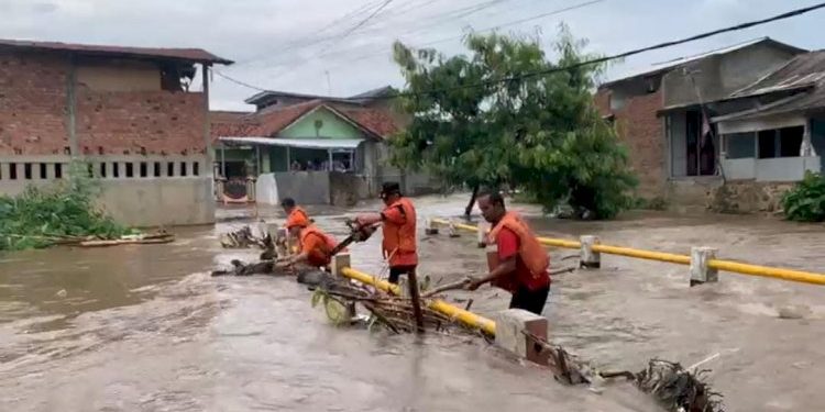 Hujan Deras, BPBD Bandar Lampung Tangani Genangan dan Pohon Tumbang