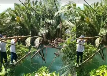 Pemprov Lampung Siap Berkolaborasi Tangani Jembatan Viral di Pematang Sawa