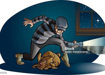 Tekab 308 Polda Lampung Ringkus 2 Pelaku Pencurian Korban Emak-emak