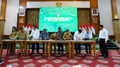 Wagub Jihan Nurlela Menghadiri Rakornas Percepatan Pelaksanaan Program Hilirisasi Komoditas Prioritas Perkebunan