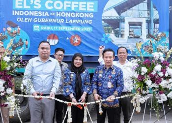 Kopi Bubuk Lampung Resmi Tembus Ekspor, Tandai Babak Baru Hilirisasi