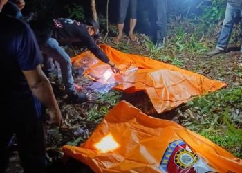 Polisi Akhirnya Menangkap Pelaku Pembunuhan Kakak Adik di Pesisir Barat