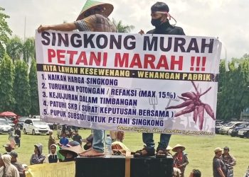 Seragamkan Harga Singkong, Gubernur Mirza Siap Terbitkan Pergub Baru 