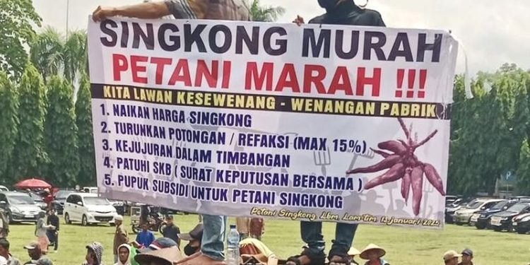 Seragamkan Harga Singkong, Gubernur Mirza Siap Terbitkan Pergub Baru
