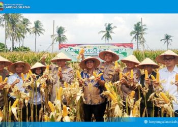 Polres Lampung Selatan Gelar Panen Raya Jagung Serentak Kuartal III
