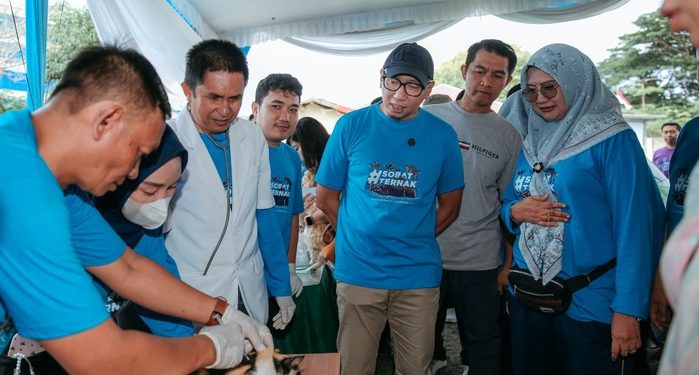 Lampung Didorong Jadi Lumbung Protein Nasional melalui Potensi Ketersediaan Pakan dan Jumlah Ternak yang Besar