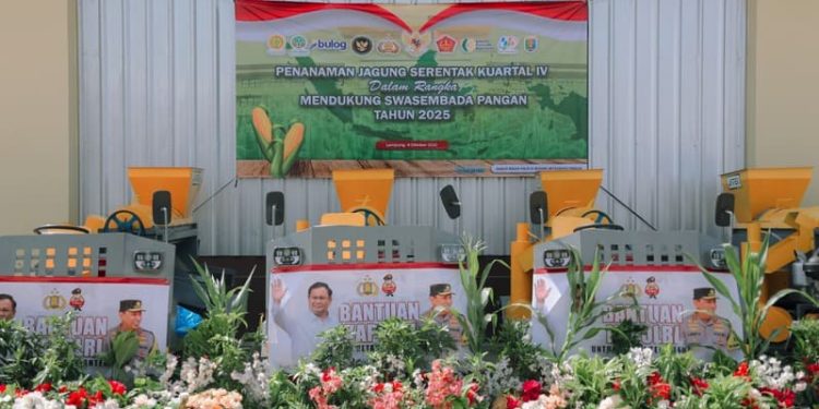 Komitmen Lampung Wujudkan Swasembada Pangan Lewat Peningkatan Produksi Jagung