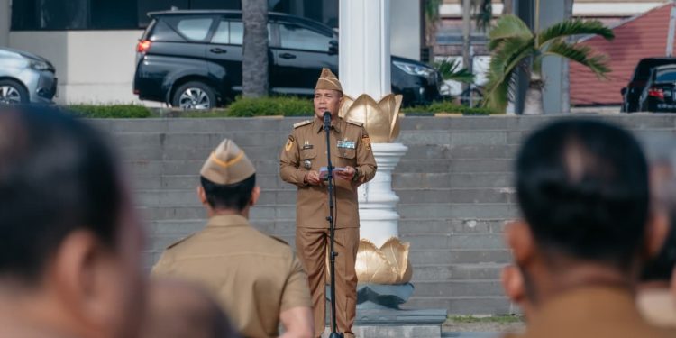 Pemprov Lampung Dorong Pengembangan Energi Panas Bumi dan Investasi di Bidang Energi