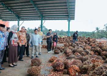 Dorong Penyerapan Tenaga Kerja dan Perkuat Perekonomian Daerah, Wagub Jihan Nurlela Meresmikan Pabrik Kelapa Sawit PT. PSM di Lampung Timur