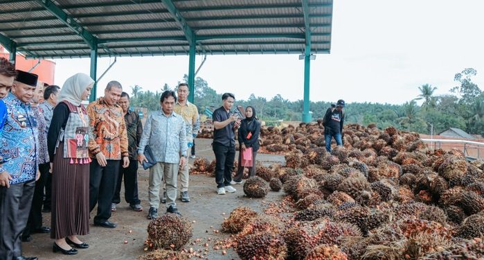 Dorong Penyerapan Tenaga Kerja dan Perkuat Perekonomian Daerah, Wagub Jihan Nurlela Meresmikan Pabrik Kelapa Sawit PT. PSM di Lampung Timur