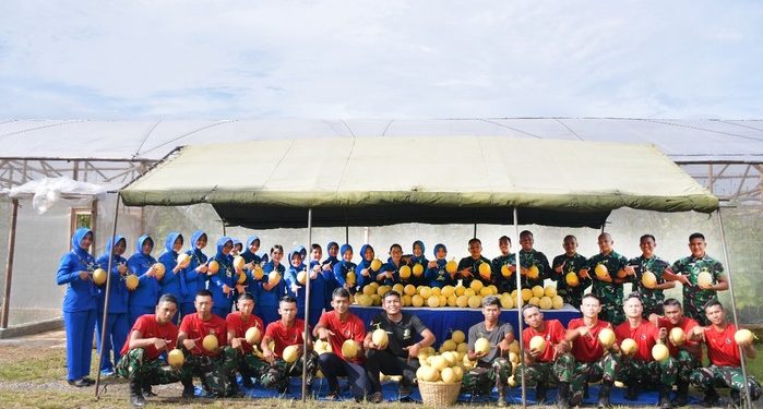 Panen Melon Inthanon: Danbrigif 4 Mar/BS dan Ibu Ketua Cabang 7 PG Kormar Dukung Ketahanan Pangan Satuan