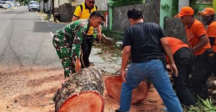 Sigab, Babinsa Koramil 410-05/TKP Bersama Warga Evakuasi Pohon Tumbang