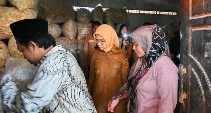 Dukung Pelaku Usaha Lokal, Bupati Nanda Kunjungi Sejumlah Sentra UMKM di Kecamatan Way Lima