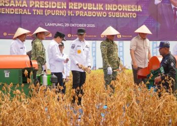 Panen Kedelai di Lampung Utara Jadi Simbol Kolaborasi Pemerintah dan TNI Wujudkan Kedaulatan Pangan Nasional