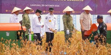 Panen Kedelai di Lampung Utara Jadi Simbol Kolaborasi Pemerintah dan TNI Wujudkan Kedaulatan Pangan Nasional