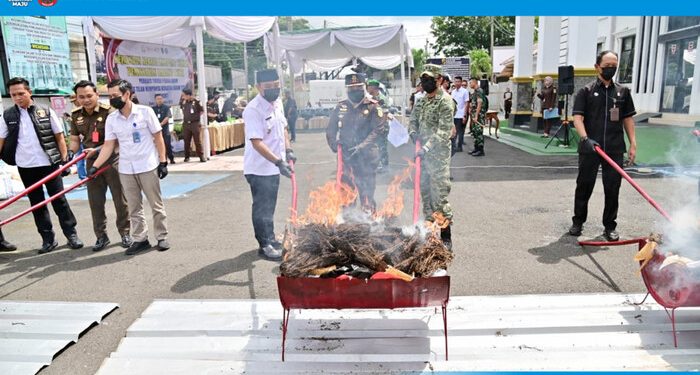 Kejari Lampung Selatan Musnahkan Barang Bukti 82 Perkara, 2,6 Kilo Sabu & 172 Kilo Ganja Dibakar!