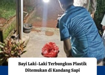 Polisi Selidiki Penemuan Bayi Tanpa Busana di Desa Bojong Barat, Lampung Utara