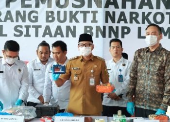 Perangi Narkotika, Pemprov Lampung Bersama BNNP Lampung Musnahkan Barang Bukti Narkotika