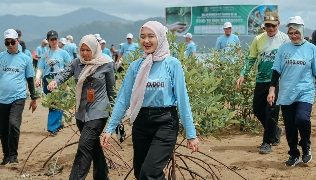 Wagub Lampung Jihan Nurlela Tanam 25.000 Mangrove di Marines Ecopark, Piabung, Pesawaran