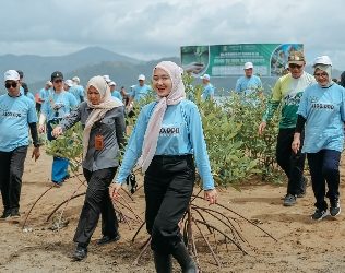 Wagub Lampung Jihan Nurlela Tanam 25.000 Mangrove di Marines Ecopark, Piabung, Pesawaran