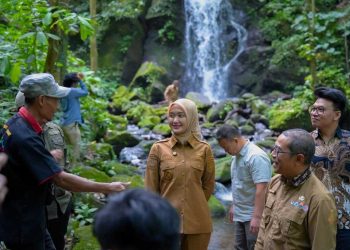 Wagub Jihan Nurlela Kunjungi Kawasan Perhutanan Sosial Desa Way Kalam Lampung Selatan