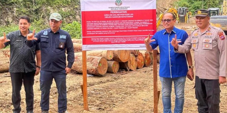 Adu Kuat Pembalak Hutan, Budi Satriadi VS Anggota DPRD Pessel, Novermal Yuska..?