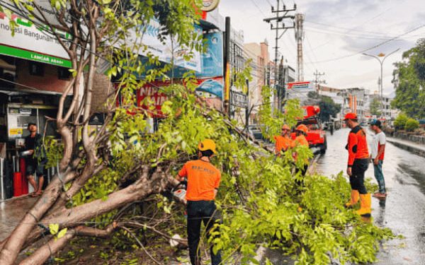 TRC PB BPBD Kota Bandarlampung Sigab Bersihkan Pohon Tumbang