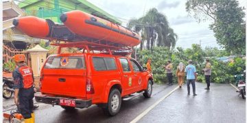 Kota Bandar Lampung Diterjang Cuaca Ekstrem, Tiga Pohon Tumbang