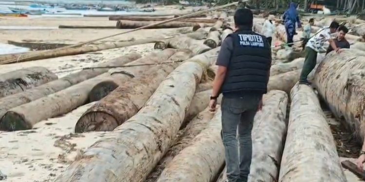 Gubernur Lampung: Kayu Terdampar Berasal dari Tongkang & Seluruh Proses Sudah Ditindaklanjuti 