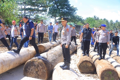 Kapolda Lampung Pantau Langsung Kapal Tongkang Kayu Diduga Ilegal Dan Ilegal Longging di Pesisir Barat