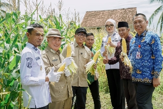 Wujudkan Kedaulatan Pupuk, Gubernur Mirza Tinjau Produksi Poc Dan Fasilitas Pascapanen di Tanggamus