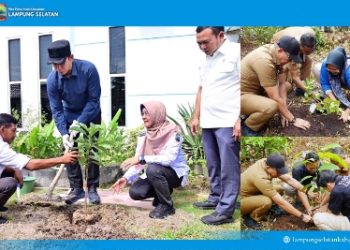 5.792 PPPK Paruh Waktu Lampung Selatan Tanam Pohon Serentak, Kampanye “Pohon Asuh” Gaungkan Gerakan Hijau dari Birokrasi