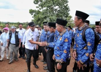 Penanaman Pohon di Taman Kehati Kota Baru Libatkan 863 PPPK Paruh Waktu Pasca Pelantikan