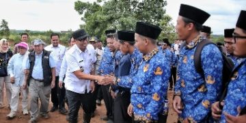 Penanaman Pohon di Taman Kehati Kota Baru Libatkan 863 PPPK Paruh Waktu Pasca Pelantikan
