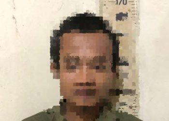 Warga Fajar Asri Pelaku Pencurian Cabai Dibekuk Anggota Polsek Simpang Pematang
