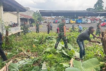 Personel Koramil 410-02/TBS Bersama Warga Pesawahan Diapkan Lahan KMP