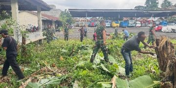 Personel Koramil 410-02/TBS Bersama Warga Pesawahan Diapkan Lahan KMP