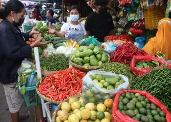 Disdag Pastikan Harga & Stok Cabai Kondisi Aman dan Terkendali