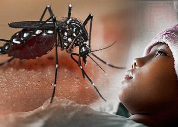 Sepanjang 2025 DBD Bandar Lampung 417 Kasus