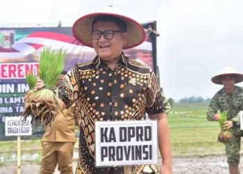Ketua DPRD Lampung Ikut Tanam Padi Bersama Forkopimda di Lampung Timur