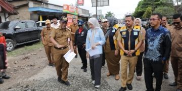 Wagub Jihan Nurlela Tinjau Perbaikan Ruas Jalan Pringsewu–Pardasuka