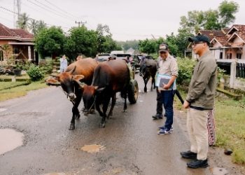 Pemprov Lampung Tangani Kerusakan Infrastruktur dan Siapkan Perbaikan Permanen Ruas Jalan di Pesawaran