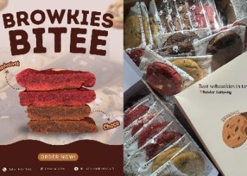 Berawal dari Tugas Kuliah, Browkies.bitee antar Mahasiswi Ini Juara DSC 2026