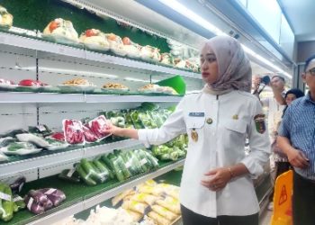 Jaga Stabilitas Harga dan Kualitas Pangan, Pemprov Lampung Intensifkan Pengawasan Pasar